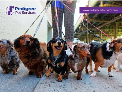 Pedigree Pet Services, LLC