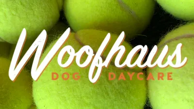 The Woofhaus | Dog Day & Night Care | Cherry Creek, Wash Park, Platt Park