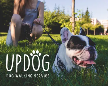 Updog Dog Walking