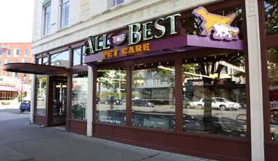 All The Best Pet Care - Ballard