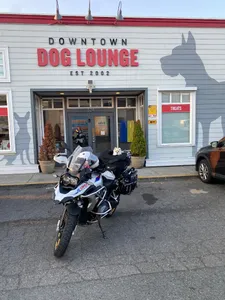 Downtown Dog Lounge