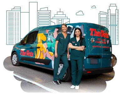 The Vets - Mobile Vet Care in Seattle (Formerly BetterVet)