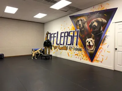 Off-Leash K9 Training Seattle/ Tacoma