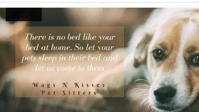 Wags N' Kisses Pet Sitting & Dog Walking